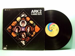 Flaming Youth - Ark 2