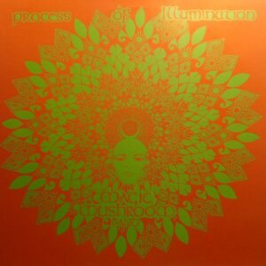Magic Mushroom Band - Process of illumination